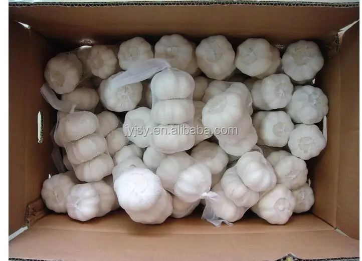 fresh garlic in 10kg carton pure white or normal white