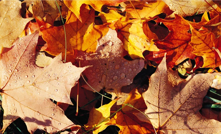 pvc stretch ceiling film.jpg