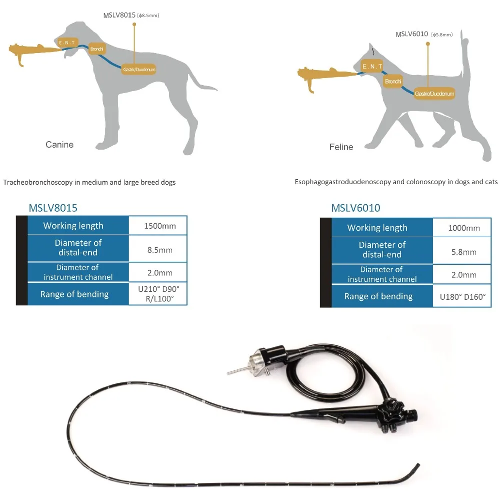 Veterinary Endoscope Integrated Endoscope System For Cat Dog Buy Endoscope Endoscope Camera Endoscope Camera System Product On Alibaba Com