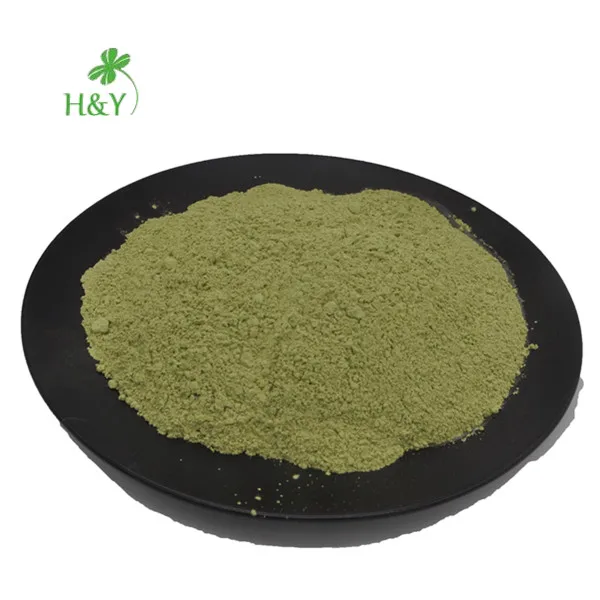 100 Pure Natural Kale Powder Kale Extract Powder Buy Kale Powder