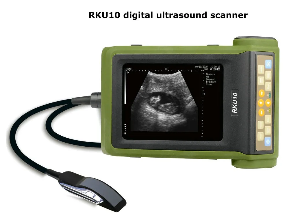 Portable Veterinary Ultrasound Machine Scanner Rku10 Kaixin Veterinary ...