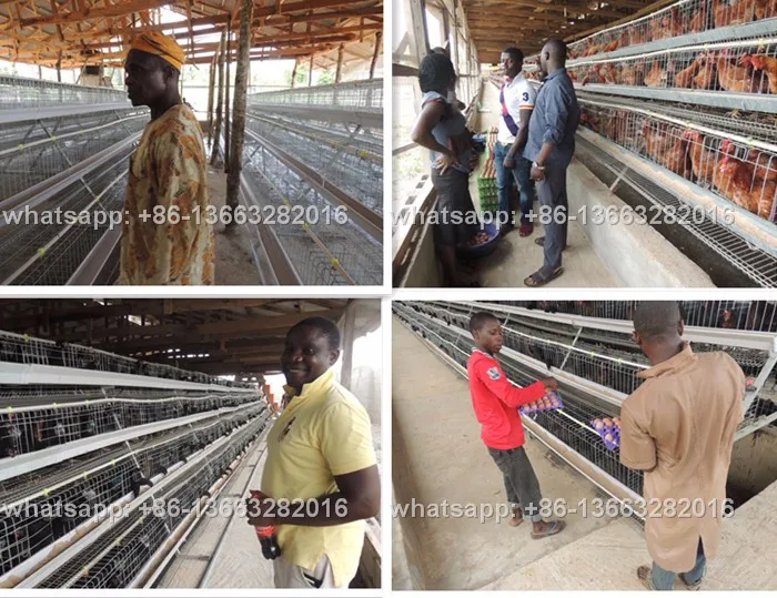 African Automatic Chicken Cage For 1 Day Old Chicks Farm Buy