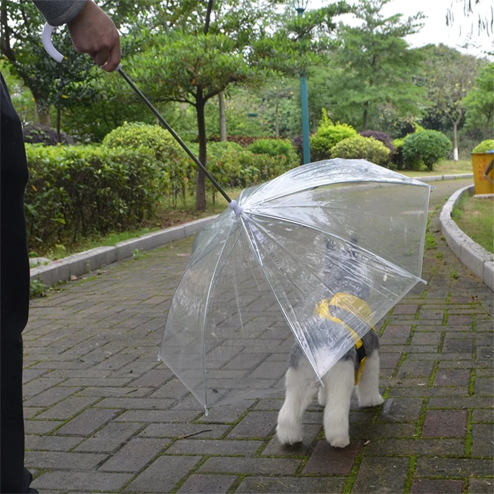 clear plastic umbrella hat