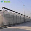 Arch Multi Span Polyethylene PE film Greenhouse for Flower and Vegetable