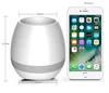 Smart Music Flowerpot, Touch Real Plant Piano Music Playing Flower Pot Rechargeable tooth Speaker with Colorful Night Light