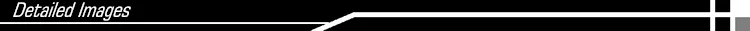 2-Detailed Images.png