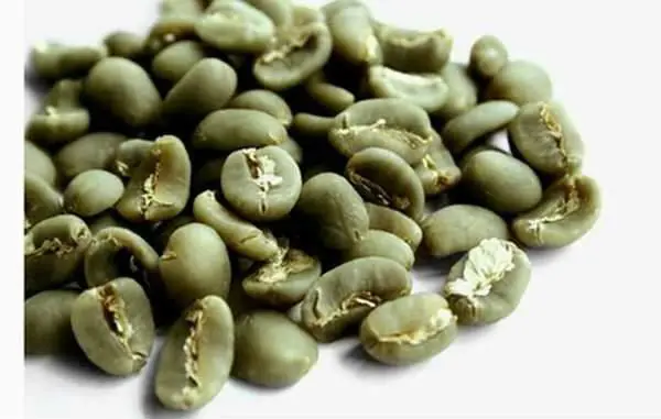 sumatra mandheling coffee beans