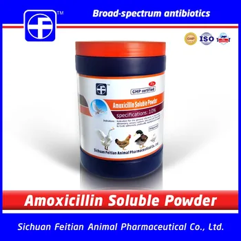 Amoxicillin für katzen