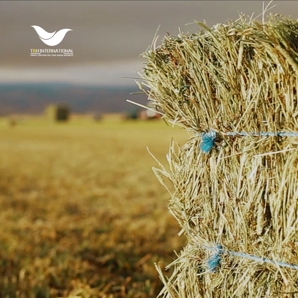 big squar baler twine