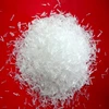 Best price 99% Monosodium Glutamate MSG with halal certificate