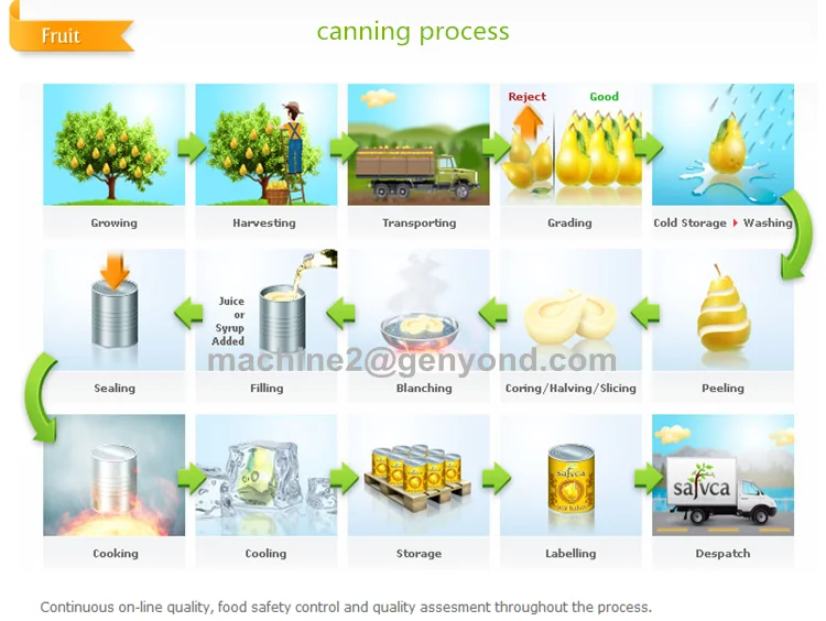 The canning of fruit. Canning process. Fruit Canning process. Mushroom Production line. The harvesting process.