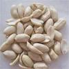 peanut buyers big size blanched peanut kernel