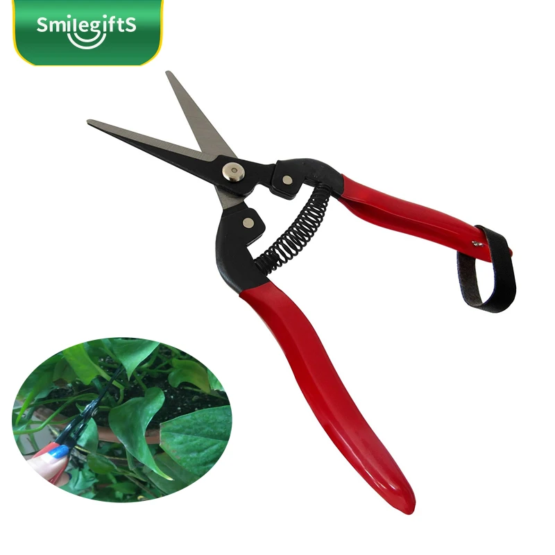 Grape Trimming Scissors Carbon Steel Garden Pruner Shears Buy Grape