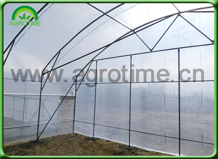 8 x 6 greenhouses for sal.jpg
