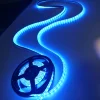Factory Flexible SMD 5050 led strips with 24V 60LED/M 300leds 5m/roll RGBW 4 IN 1 Strip light