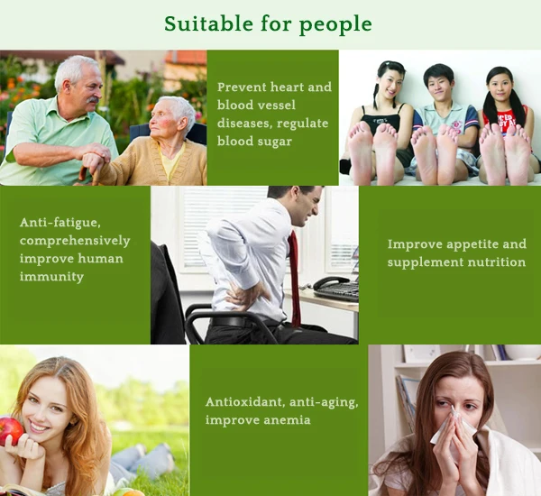 spirulina 3.jpg