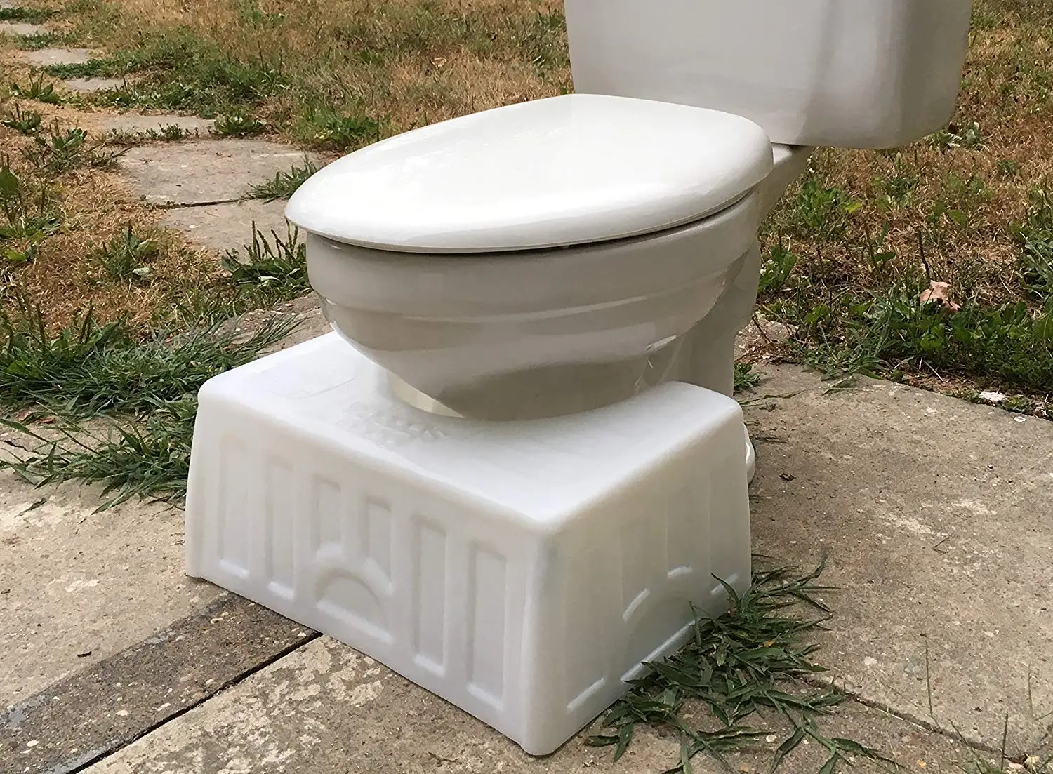 Toilet With Poop