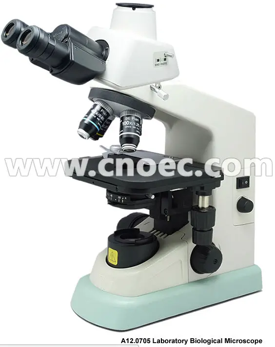 nikon biological microscope