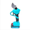 Electric fruit tree scissors/rechargeable pruning shears