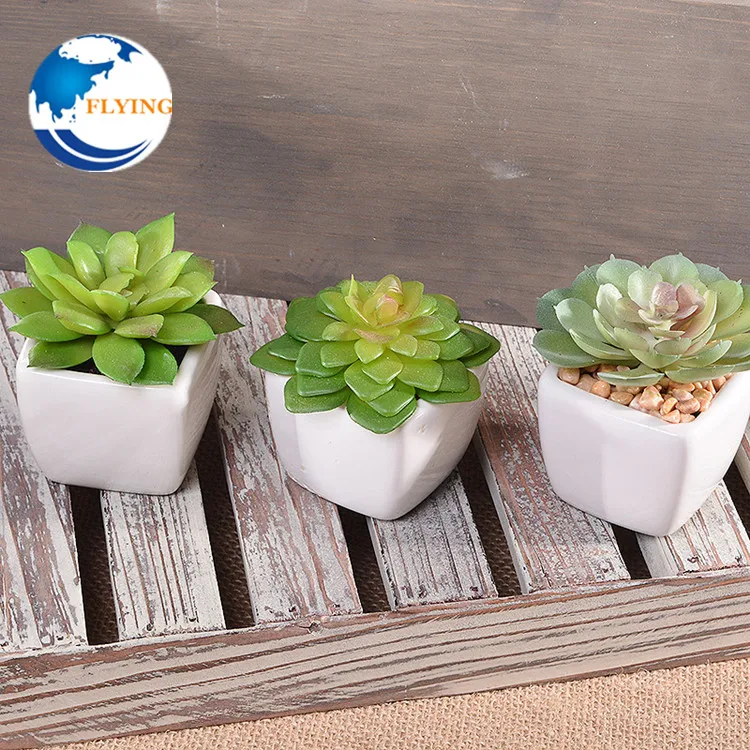 简单的白色风扇多肉植物陶瓷zakka 小盆景盆栽植物花瓶花容器罐 Buy Small Bonsai Pot Plants Succulents Ceramic Zakka Small Bonsai Pot Plants White Fans Succulents Ceramic Bonsai Pot