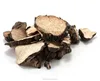 Wild Polyporus umbellatus(Pers.)Fries Grifola umbellata Pilat dried well for herbal medicine