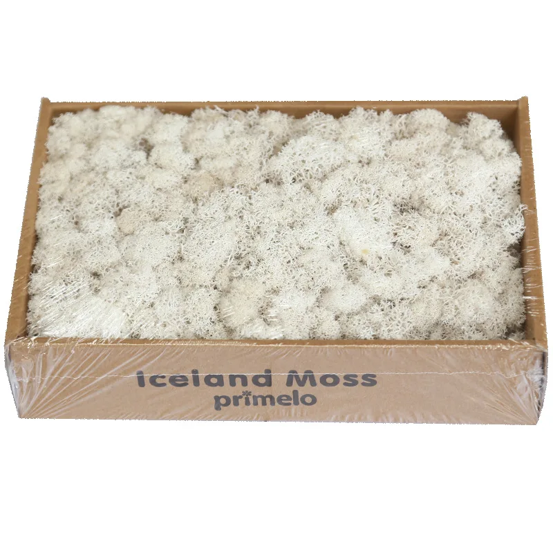 8954786829_1787692047