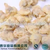 Seafood Companies Frozen Clam Meat Tempura