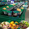 Electronic Fruit Weight Grading Sorting Machine/Fruit Grader mobile:0086 13703827012