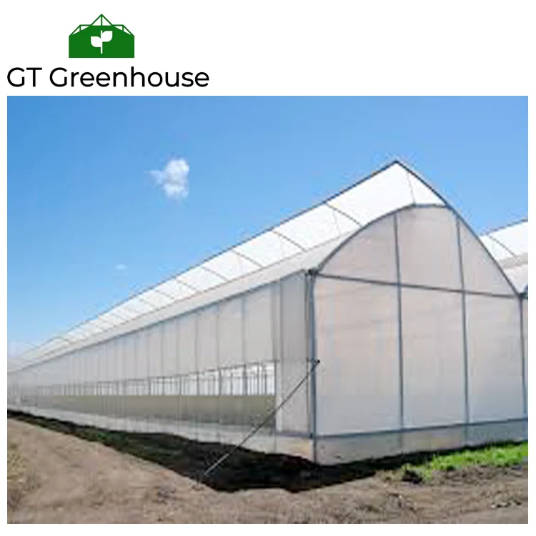 mushroom greenhouse.png