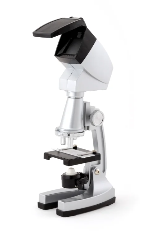 paste-pic-dp_uuid_4n64y