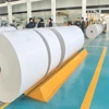 wholesale price folding box coated board fbb paper