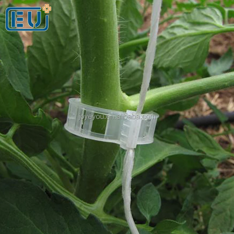 China Newest High Quality Plastic Grafting Vine Tomato Clip for tomato with High Quality