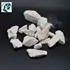 Dragon's Bone/Long Gu