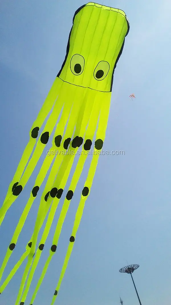 big kite (1).jpg
