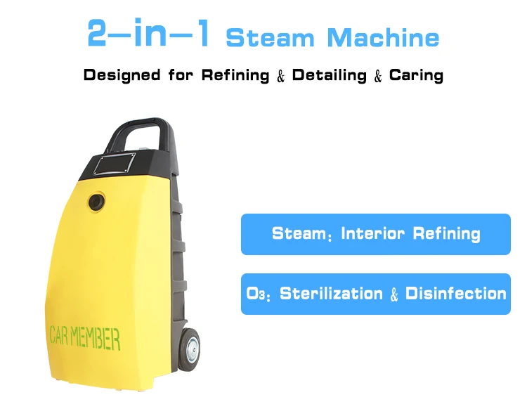 Steam Cleaner