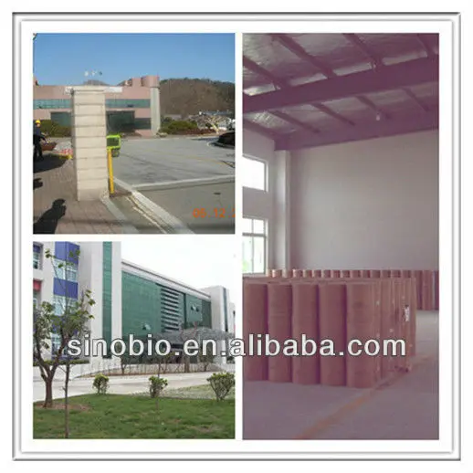 facroty pictures____.jpg