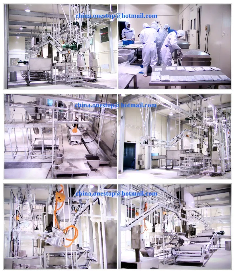 Pig Slaughter Equipment Line/Pork Processing Abattoir Machinery