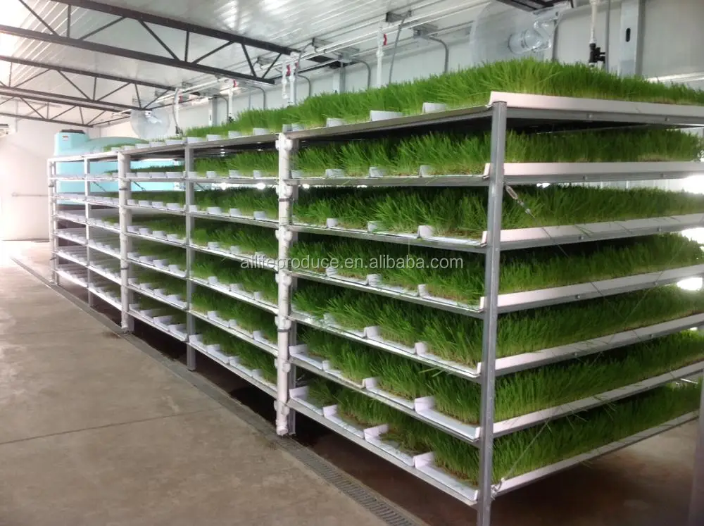 how to make a fodder system