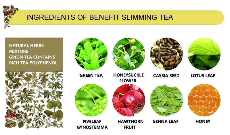 Benefit Slimming Tea Natural Herbal Remedy of Weight Loss Body Slim Green Tea Herbs Blending Diet Tea Chinese Traditional Health