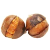 New crop fresh sweet chestnut shell in 5kg gunny bag