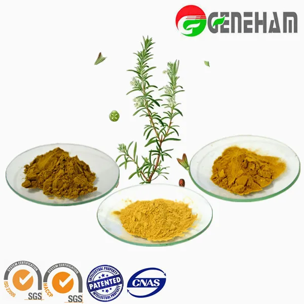 Natural Food Preservative Rosemary Extract Rosmarinic Acid Buy