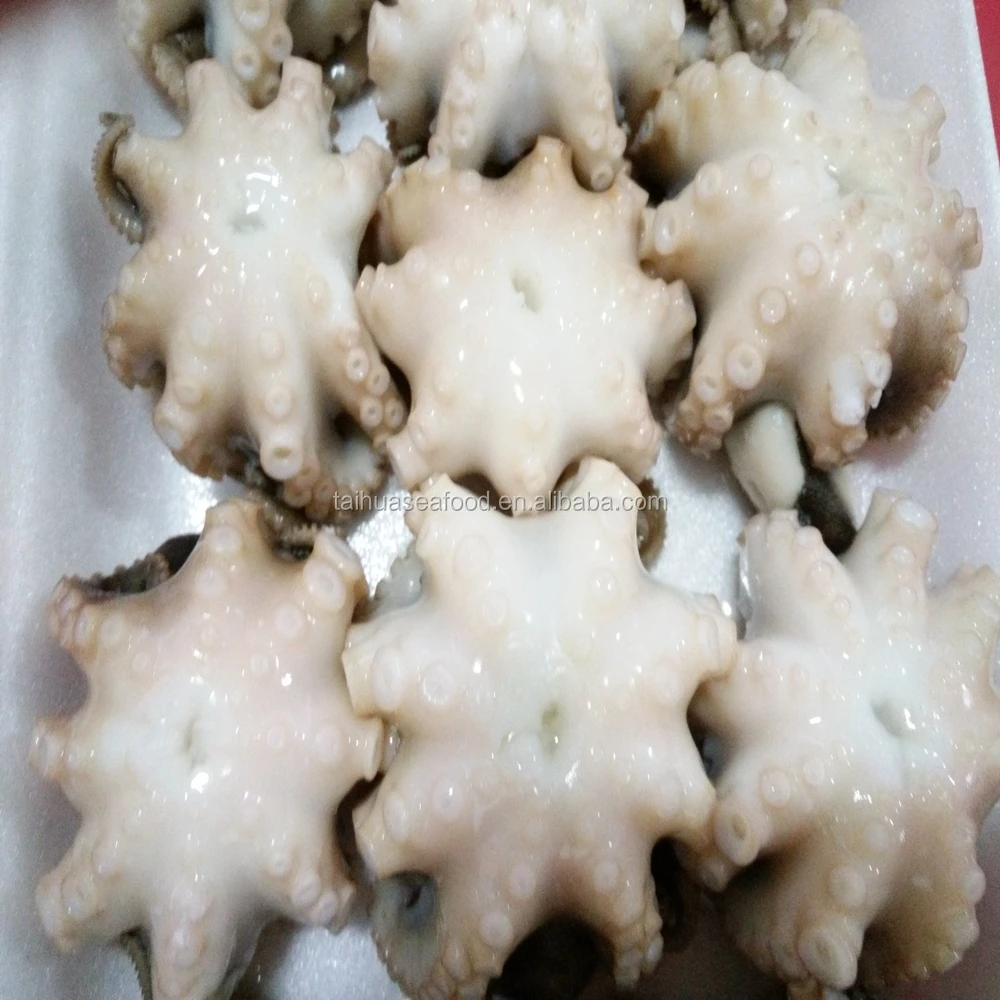 Frozen Seafood Baby/small Octopus Fresh Buy Frozen Octopus,Baby