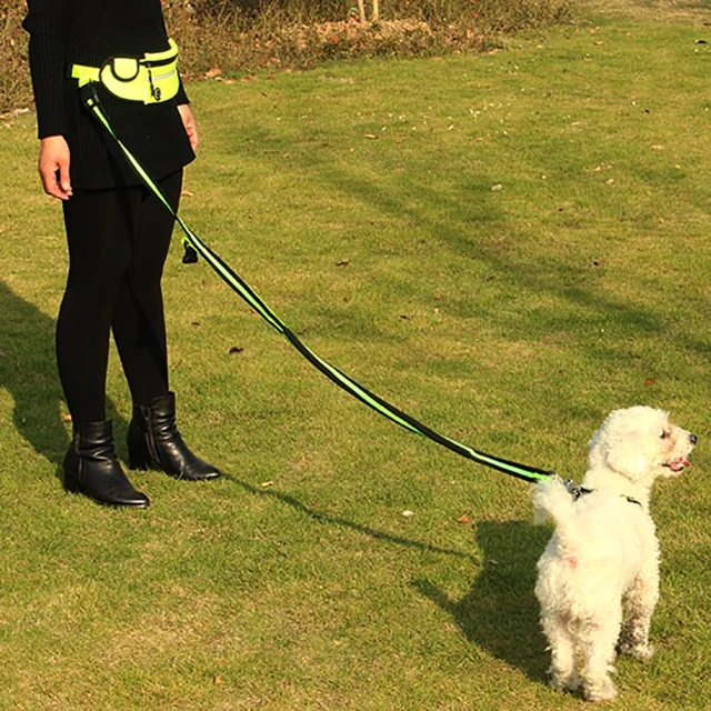Best Selling Retractable Reflective Running Dog Leash For Hands Free