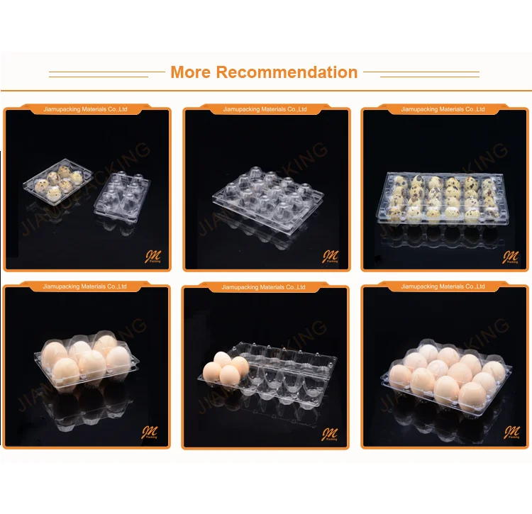 12 holes plastic disposable PVC quail egg tray