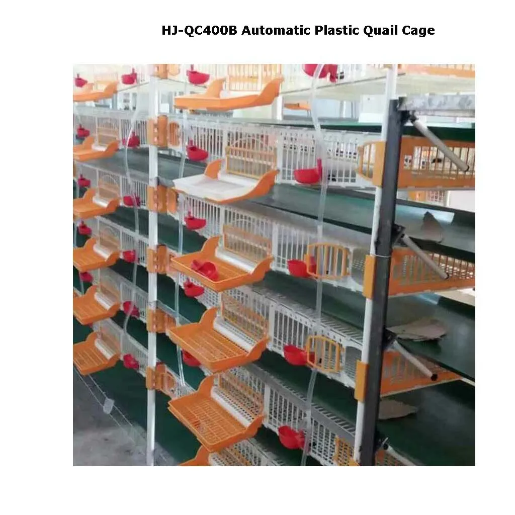 6 Layer Plastic Quail Cage With Egg Collection /quail Layer Cages Hj