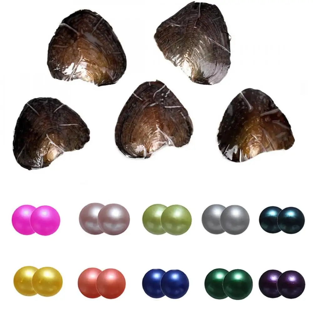 New Twins Oyster Aa 10 Pieces Freshwater Pearl Oyster With Twins 68 Mm