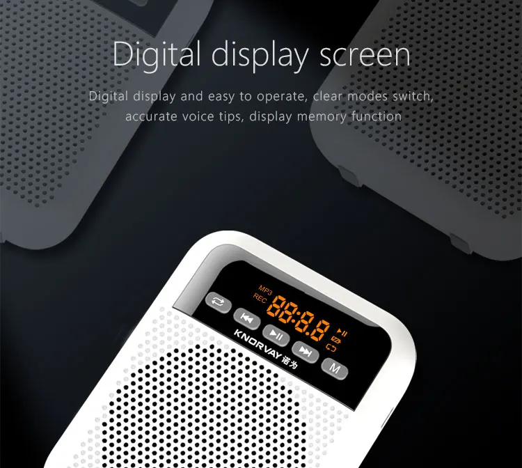 Professional Audio Loudspeaker Speakers.jpg