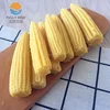 BRC Canned Baby Corn manufacturer with the competitive price