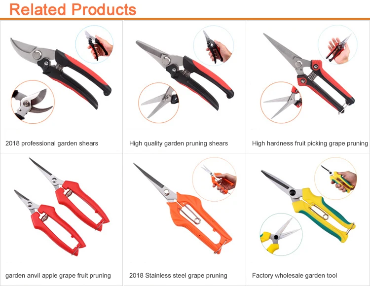 Pruning Shears.jpg