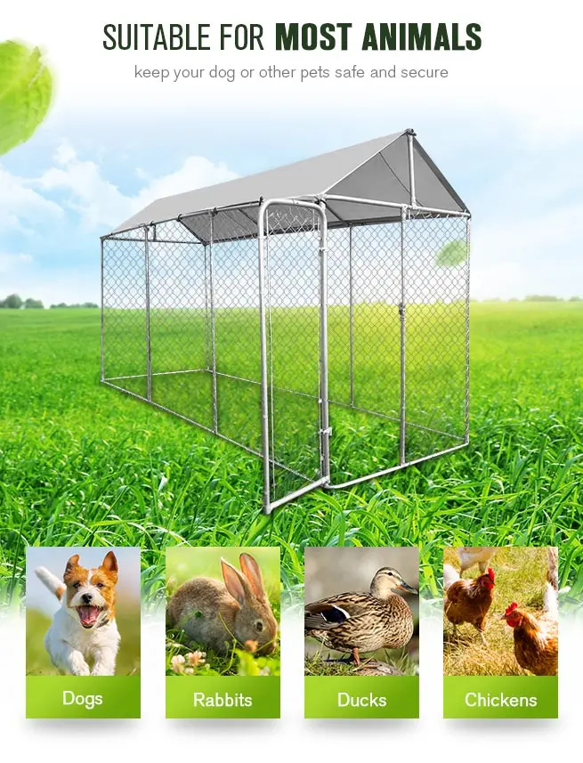 Made In China Galvanized Chain Link Dog Kennel Of Large.jpg